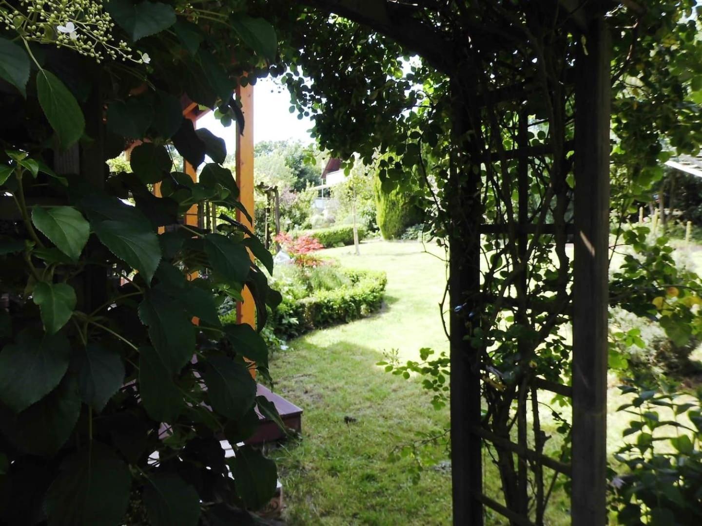 Farbenfrohe Ferienwohnung Detmold Kültér fotó