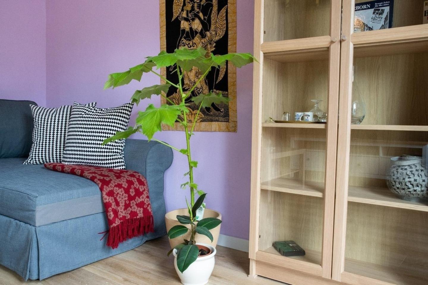 Farbenfrohe Ferienwohnung Detmold Kültér fotó